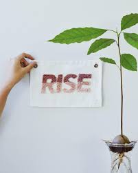 Exploring The Power Of Text And Language In My New Punch Needle Work There S So Much History Symbolism And Design Embodied In Words Poetry Journaling Call