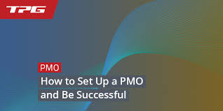 How To Set Up A Pmo And Be Successful