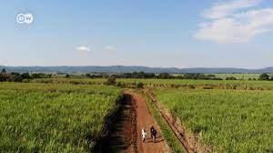 Maybe you would like to learn more about one of these? Batutuwa Dw
