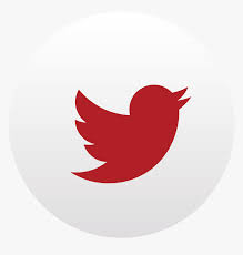 We did not find results for: Twitter Logo Png Transparent Background Red Twitter Logo Transparent Png Download Transparent Png Image Pngitem