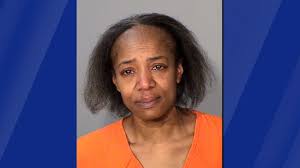 St. Paul woman pleads guilty to manslaughter for fatally stabbing boyfriend 