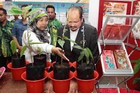 Maklumat menteri & timbalan menteri. Yb Tuan Shamsul Timbalan Menteri Industri Utama Melawat Demonstrasi Dan Pameran Lkm Sempena Program Sayangi Komoditi