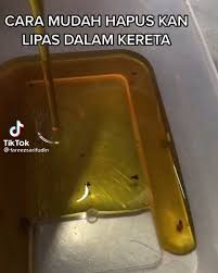 Beberapa kajian menunjukkan bahawa di dalam perut lipas terdapat cacing halus dan lembut. Engear Tv Resepi Bunuh Lipas Dalam Kereta Dengan Mudah
