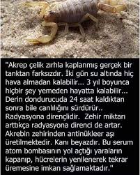 Pin On Bilgi