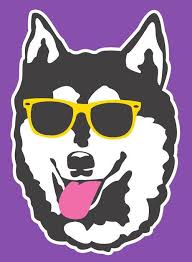 Pin By College Colors On Home Decor Washington Huskies Football Washington Huskies Huskies Football