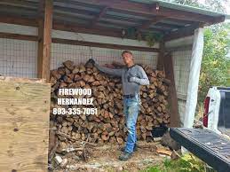 Termites and other bugs are always a possibility when dealing with. Firewood Hernandez Home Facebook
