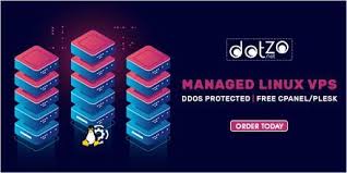 Managed Linux Vps Dotzo Net Host Your Website With Vps Hosting Which Can Accomodate Ten Thousands Visitors A Day Vps Vpshosting Webho Linux Cpanel Manage