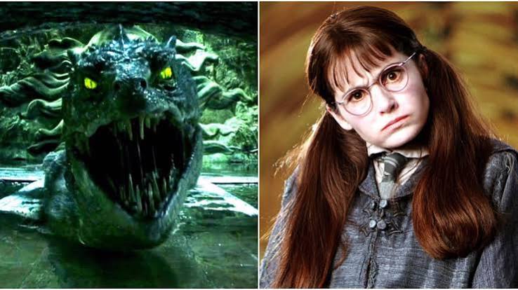 Harry Potter: 10 Plotholes From The Chamber Of Secrets That Were Never  Resolved