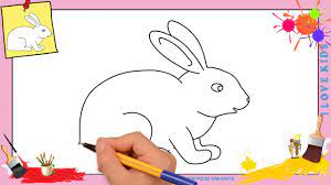 Produits de vente en gros >. Dessin Lapin 2 Comment Dessiner Un Lapin Facilement Etape Par Etape Pour Enfants Youtube