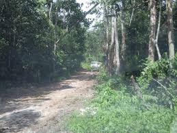 Hulu langat is a federal constituency in hulu langat district, selangor, malaysia, that has been represented in the dewan rakyat since 1974. Tanah Murah 5 Ekar Sebelah Taman Di Hulu Langat