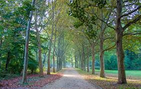 She now had to transfer her design skills to a commercial environment. Environment State Of Berlin