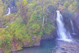 There are a few popular waterfall tours on oahu that will give you a guided experience to some of the most scenic waterfalls on the island. Road To Hana Waterfalls 10 East Maui Waterfalls Near Hana Highway Hawaii Travel Blog Flashpacking America