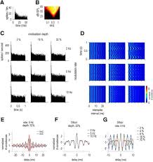 This is a list of radio stations in malaysia, ordered by location and frequency. Dual Coding Of Frequency Modulation In The Ventral Cochlear Nucleus Journal Of Neuroscience