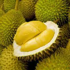 $15 red prawn durian vs $45 black thorn durian. Types Of Durian In Malaysia Most Popular The Stringer