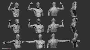 We did not find results for: Male Arm Muscles Drawing Reference Novocom Top