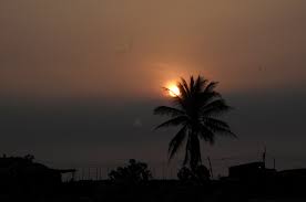 Free Images : sunrise, beach, coconut, palm tree, sunset, cloud ...
