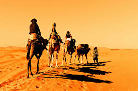 Phenotypic classification of saudi arabian camel (camelus dromedarius) by their body measurements. What To Do In Saudi Arabia Travelingeast