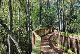 Hiking Trails Hiking In Florida Florida Trail State Parks Usa