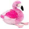High quality flamingo gifts and merchandise. Https Encrypted Tbn0 Gstatic Com Images Q Tbn And9gcragcdr Hfuykiultmo0z9qs9ahj2aofilx5hqymd4 Usqp Cau