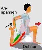 Doch der krampf im oberschenkel kann sie auch nachts daheim ereilen, im schlaf, beim sport, beim wo kommt ein oberschenkelkrampf eigentlich am meisten vor? Was Tun Gegen Einen Oberschenkelkrampf Muskulatur Oberschenkel Krampf