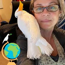 TAKE ACTION: At SeaQuest Roseville in Minnesota, a bat ray was seen  struggling to breathe. Bat rays have the ability to jump out of the water  and skim along the surface, and