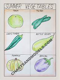 Buy Summer Vegetables Charts Online In Delhi Buy Summer