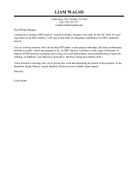 Best Seo Cover Letter Examples Livecareer