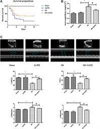 Frontiers Grape Seed Proanthocyanidin Extract Ameliorates Cardiac Remodelling After Myocardial Infarction Through Pi3k Akt Pathway In Mice Pharmacology