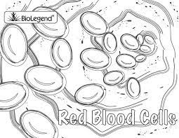 Biolegend Legendary Coloring Book Coloring Pages Anatomy Coloring Book Comic Book Art Style