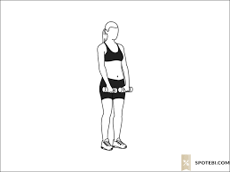 Dumbbell shoulder workouts is a great way to stabilize delts and shoulder traps. Dumbbell Front Raise Illustrated Exercise Guide
