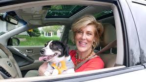 Why Hire an Interior Designer... Funny Take