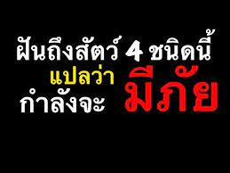 ฝ นเห นส ตว 4 ชน ดน แปลว ากำล งจะม ภ ย ให เตร ยมระว งต ว อย าประมาท by ณ ฐ นรร ตน youtube คำคมบทเร ยนช ว ต คำคมโดนใจ คำคม