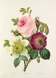 Botanical Drawing Bunga Kartu Gambar