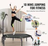 SKYSHALO 48 in. Fitness Rebounder, Mini Trampoline, Max Load ...