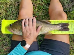 Mandy Horn Angler Profile