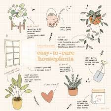 Easy To Care Guide To Houseplants Plant Care Houseplant Houseplants Nature Plants