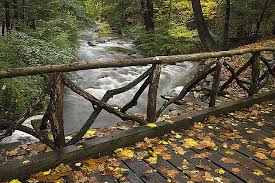 The bridge is one of several rumors about locations along sleepy hollow road. Headless Horseman Bridge Sleepy Hollow Ny 2007 Sleepy Hollow New York Sleepy Hollow Haunted Places