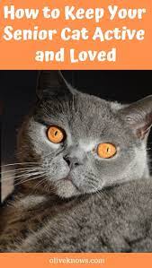 Pin On Oliveknows Com