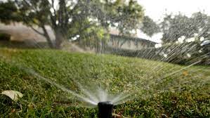 If it takes 60 minutes, then that's how long you need to water your lawn each week. How Much Should You Water Your Lawn Texas A M Website Takes Out The Guesswork