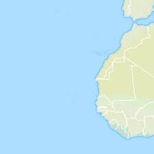 Image result for Belonophora coffeoides