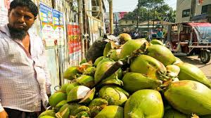 Amazing Coconut Cutting Skill | Indian Street Food | Fruit Market ...