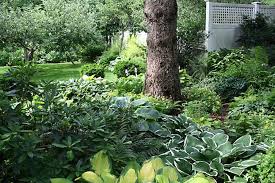 Hosta Underplanting For Deep Shade Add Spring Bulbs For Early Seasonal Color As Bulb Leaves Whither Hos Shade Garden Design Shade Garden Shade Landscaping