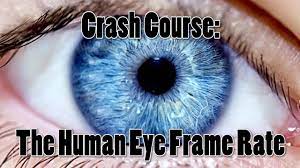 Mar 07, 2019 · the question of how many frames per second can the human eye see isn't actually that simple, however, and in a nice change of pace nvidia has done some research into how much benefit there is to. How Many Fps Can Your Eye See Youtube