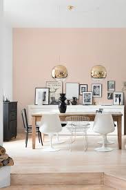 Soit 12.28 € le litre. Velours De Peinture Couleur Rose Nympheas Salle A Manger Beige Couleur Mur Salon Couleur Peinture