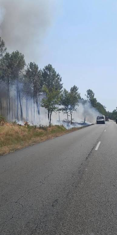 Vidéo. Les premières images de l'incendie d'un camion qui embrase la végétation entre Sanguinet et Biscarrosse
