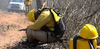 Pin By Claire Cliche On Shovel Ready Brazil Amazon Rainforest Amazon Rainforest Brazil Amazon