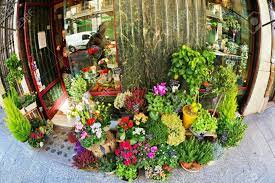 We did not find results for: Madrid Flower Shop Facebook