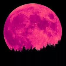 Full moons & new moons 2021 solar & lunar eclipses 2021 void of course moon 2021 gardening moon calendar fertility days (lunar conception) numerology calculator; Calendar For Full Moon 2021 Names Dates And Time Knowinsiders