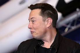Elon musk tweet becomes latest cryptocurrency! What Elon Musk Cathie Wood Mike Novogratz Say About Bitcoin Btc Collapse Bloomberg