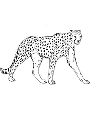 39+ hunting coloring pages for printing and coloring. Coloring Pages Cheetah Looking For Hunt Coloring Page